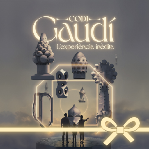 Tiquet regal d'Espai Imagina